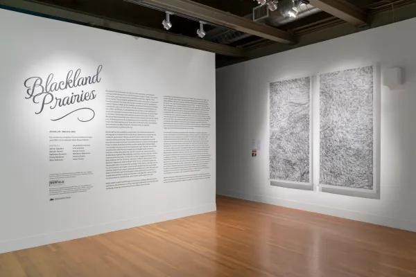 installation view of Blackland Prairies