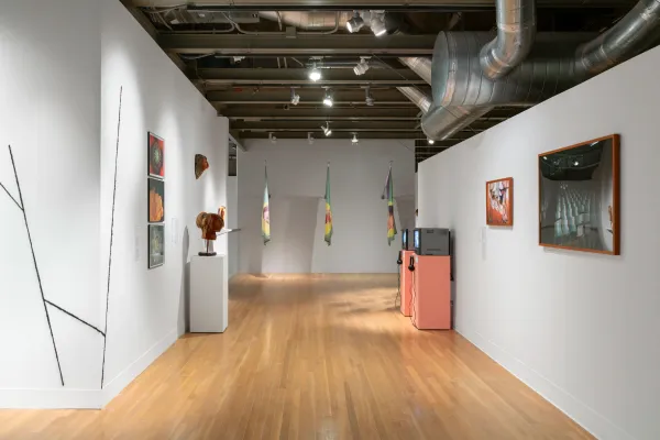 installation view of Blackland Prairies