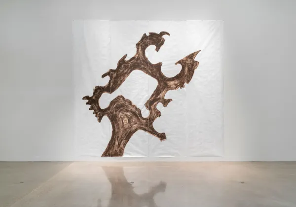 installation view of Pablo Tut: Land Invention