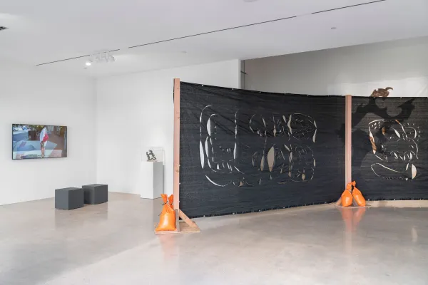 installation view of Pablo Tut: Land Invention