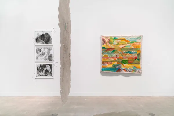 installation view of Retracing the Rubicon