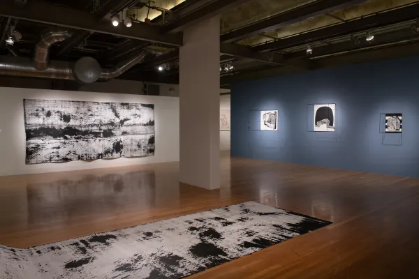installation view of Joey Fauerso: Wait For It