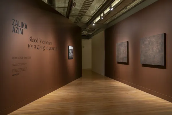 installation view of Zalika Azim: Blood Memories (or a going to ground)