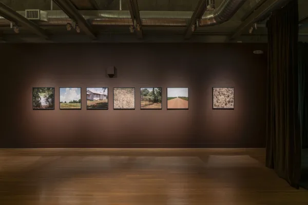 installation view of Zalika Azim: Blood Memories (or a going to ground)