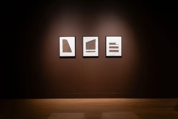 installation view of Zalika Azim: Blood Memories (or a going to ground)