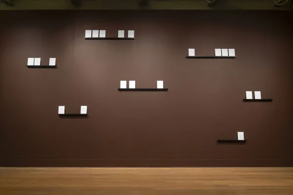 installation view of Zalika Azim: Blood Memories (or a going to ground)