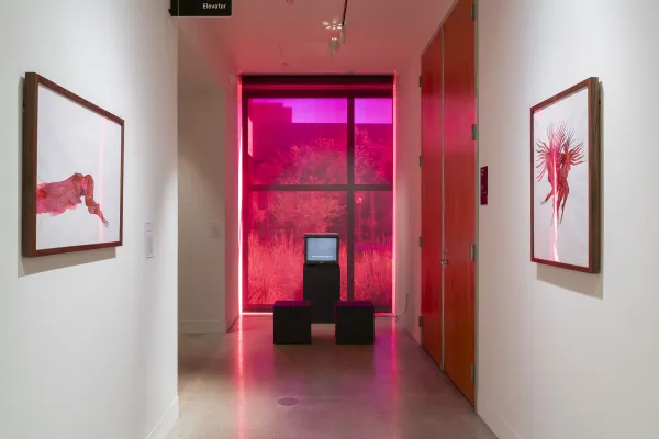 installation view of Love in Excess