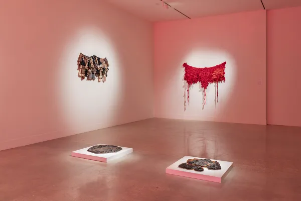 installation view of Love in Excess