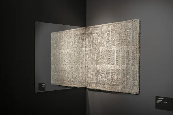 installation view of Francesca Lally: Half Time