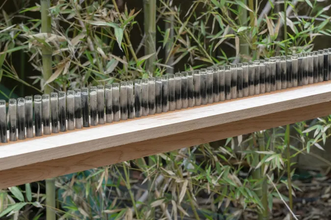 artwork by Abby Flanagan