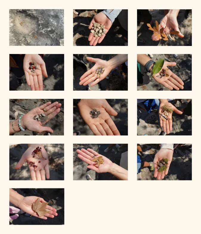 grid of images of hands holding natural materials