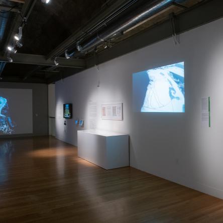 'Exploring the Arctic Ocean' exhibition at Visual Arts Center, UT Austin