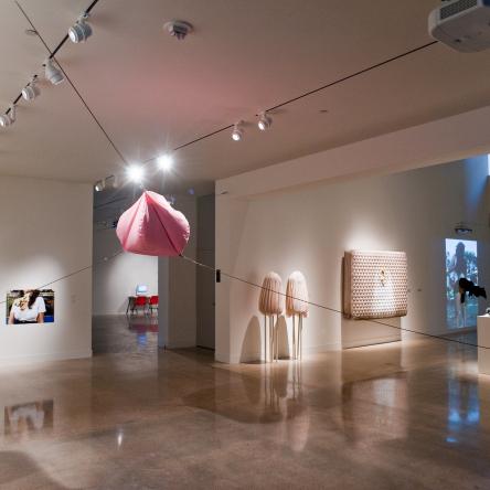 'Looking for a Fight' exhibition, Visual Arts Center, UT Austin