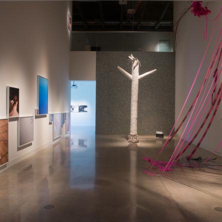 Studio Art MFA exhibition at Visual Arts Center, UT Austin