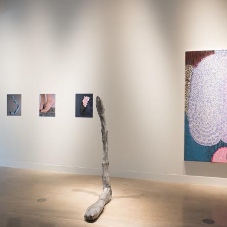 'Your Pleasure' exhibition at Visual Arts Center, UT Austin