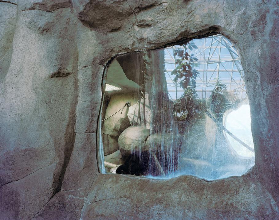 Brooke Johnson, Visual Arts Center, photo of zoo habitat