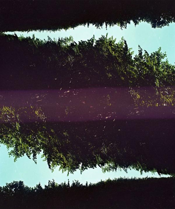 digitally manipulated image using trees, sky, and purple band