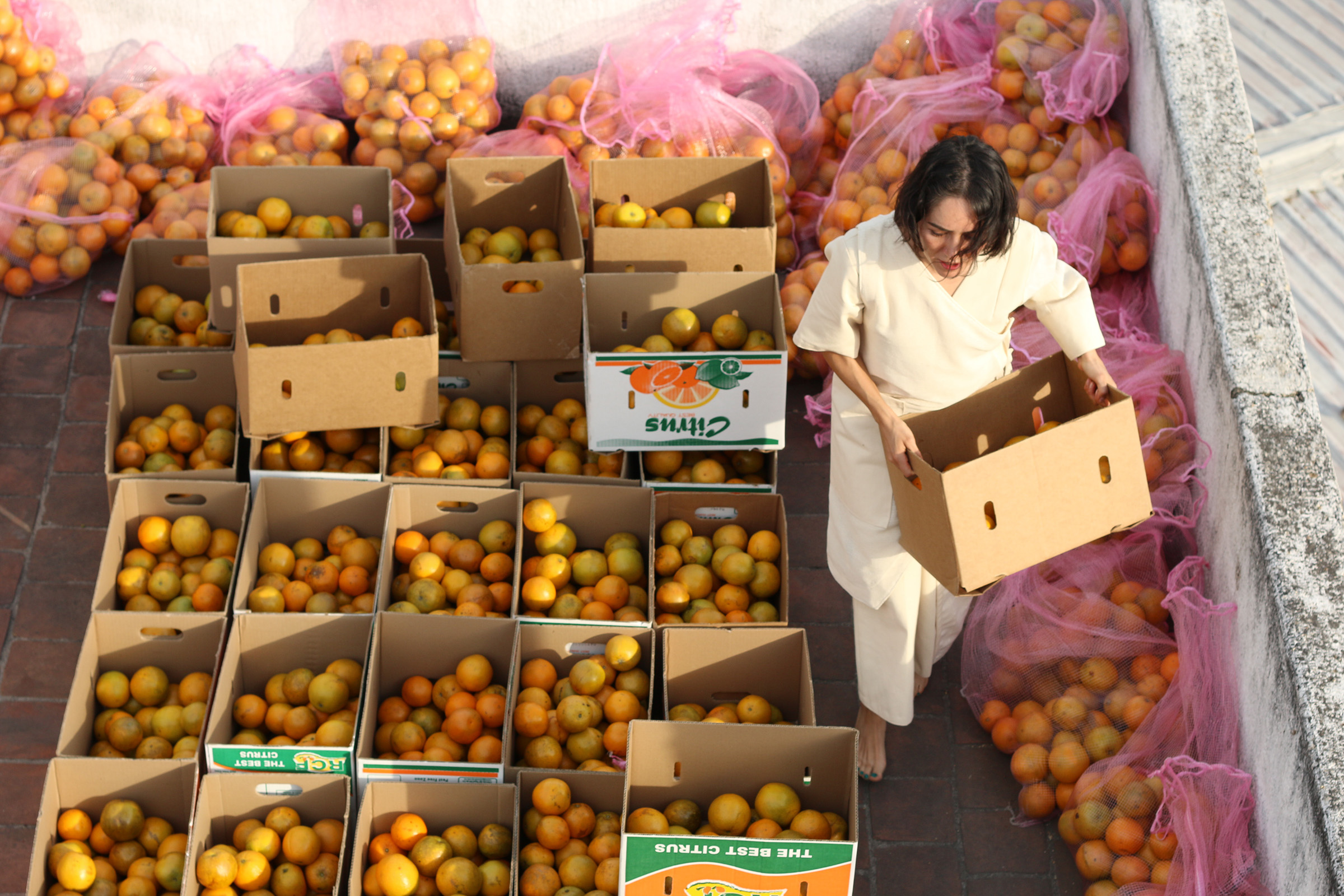 Carmen Argote, Visual Arts Center, woman carrying crate of citrus fruit, surrounded by many other crates of fruit