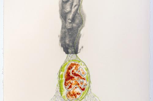 artwork by Rosana Paulino 