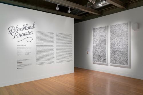 installation view of Blackland Prairies