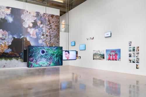 installation view of Una Luz: Photography Under Confinement in Venezuela