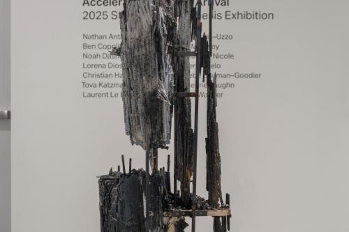 artwork in the 2025 Studio Art MFA Thesis Exhibition