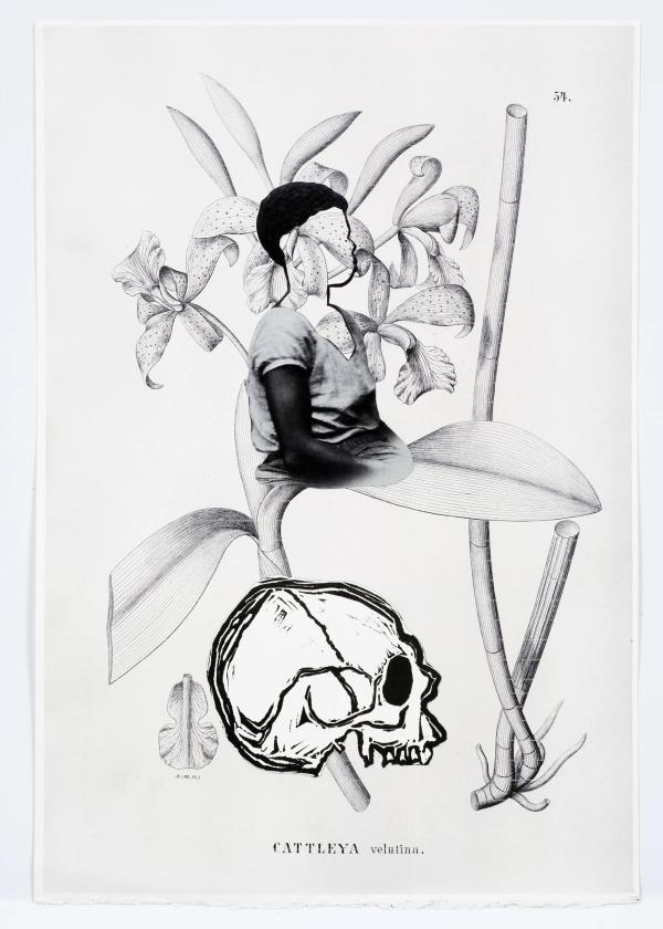 artwork by Rosana Paulino 