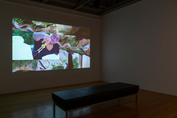 installation view of Blackland Prairies