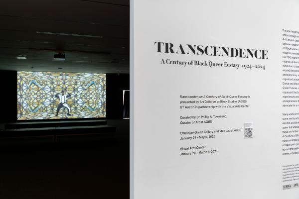 installation view, Transcendence