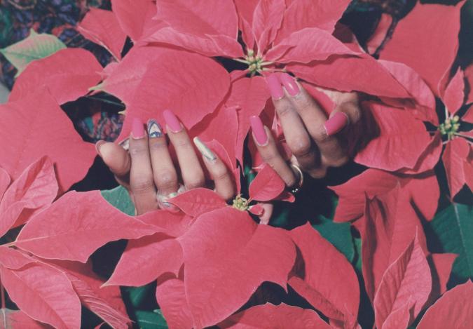 human hands hidden among red flowers