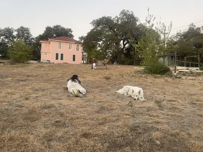 image of a person and their dog laying in a field
