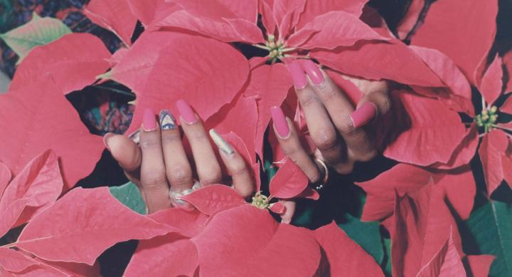 human hands hidden among red flowers