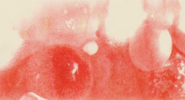 red abstract pattern that resembles bubbling liquid on cream colored background